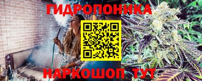 трава Будённовск