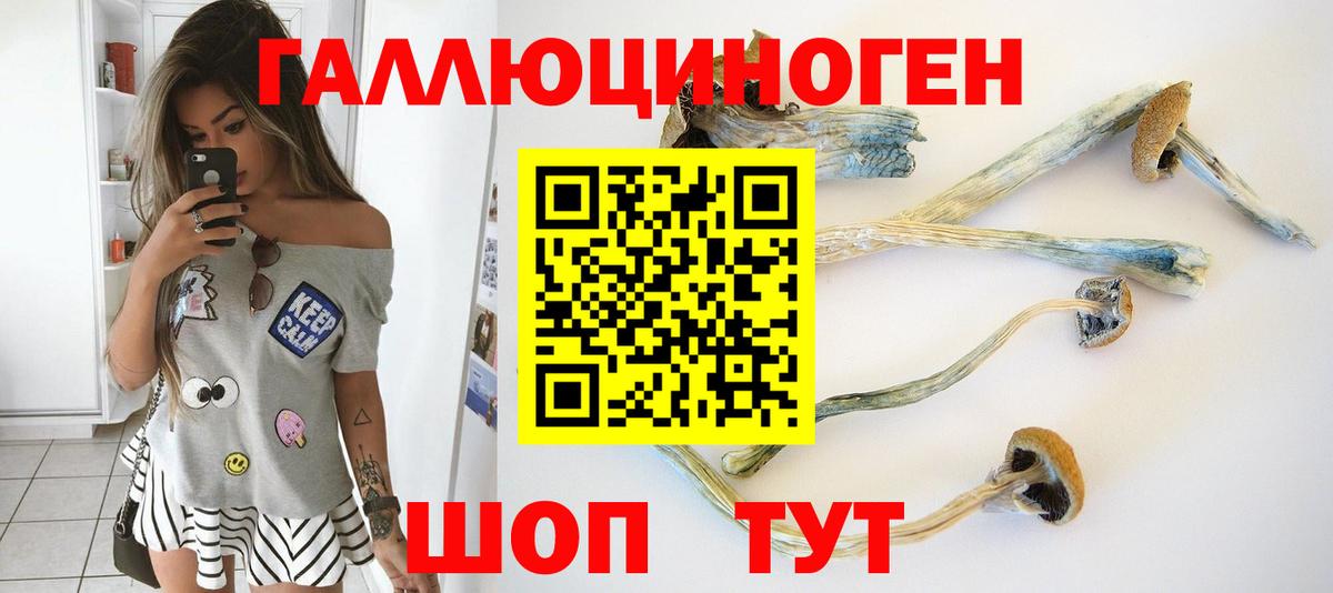 Галлюциногенные грибы GOLDEN TEACHER  Вход с VPN  Острогожск 